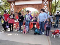 Famílias e seus cães se divertem na 2ª Festa Cãopira