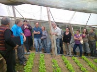 Produtores mafrenses visitam propriedades agroecológicas